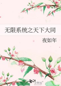 无限系统之天下大同