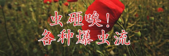 蟲砸唉！各種爆蟲流